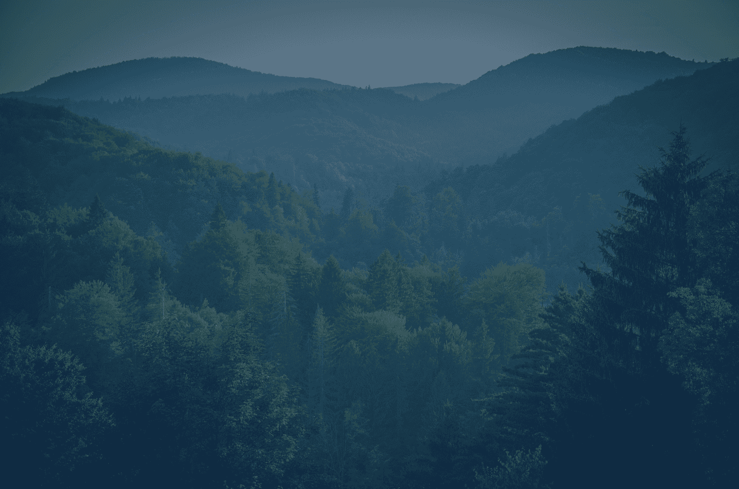 a view of a mountain range covered with trees